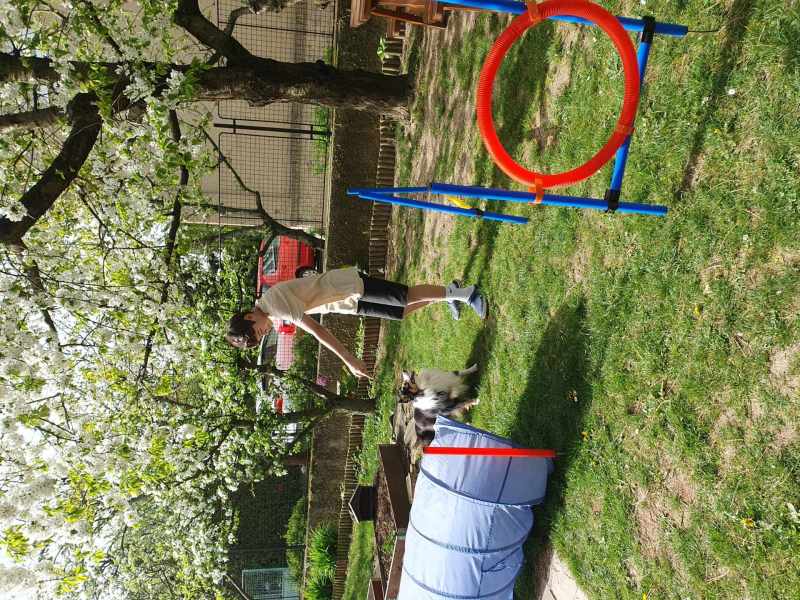 Psí den v Nerudovce