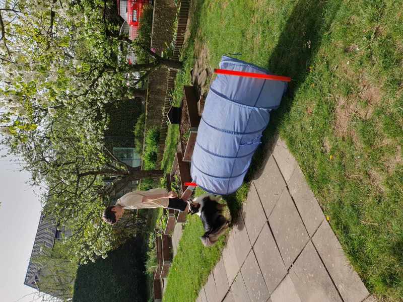 Psí den v Nerudovce