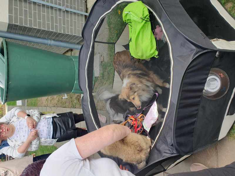 Psí den v Nerudovce