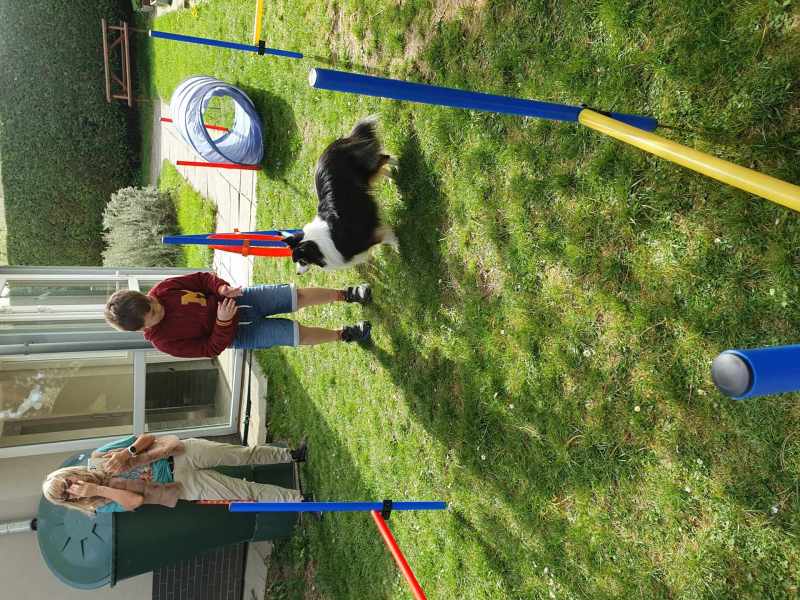 Psí den v Nerudovce